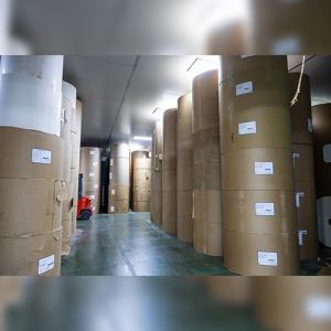 Cold Drinks and Hot Beverages Disposable Paper Cup Coffee Cup Cupstock Base Paper