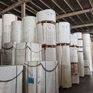 Factory Direct Sales PE Coating Paper Cup Paper Bottom Roll