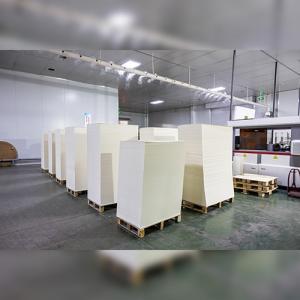 PE Coated Paper Sheet