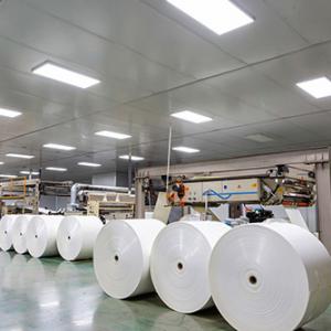 White PE Coated Paper Roll